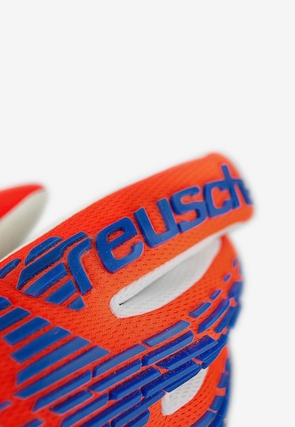 REUSCH Sporthandschoenen 'Attrakt Freegel' in Oranje