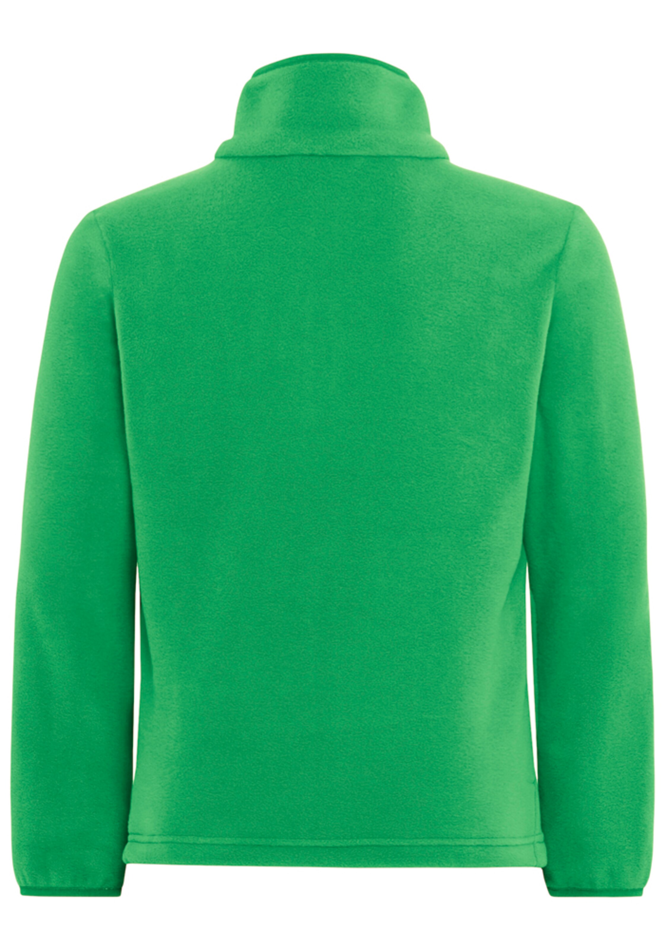 JACK WOLFSKIN Athletic Fleece Jacket 'Taunus' in Green