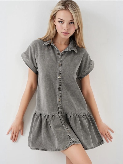 Bigdart Dress in Grey denim, Item view