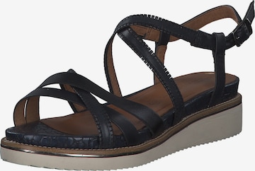 TAMARIS Strap Sandals in Blue: front