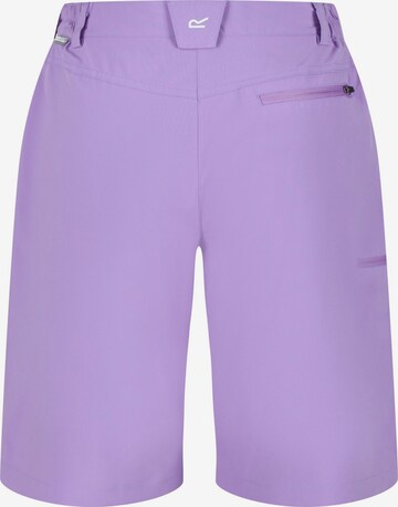 REGATTA Regular Outdoor Pants 'Xert It' in Purple