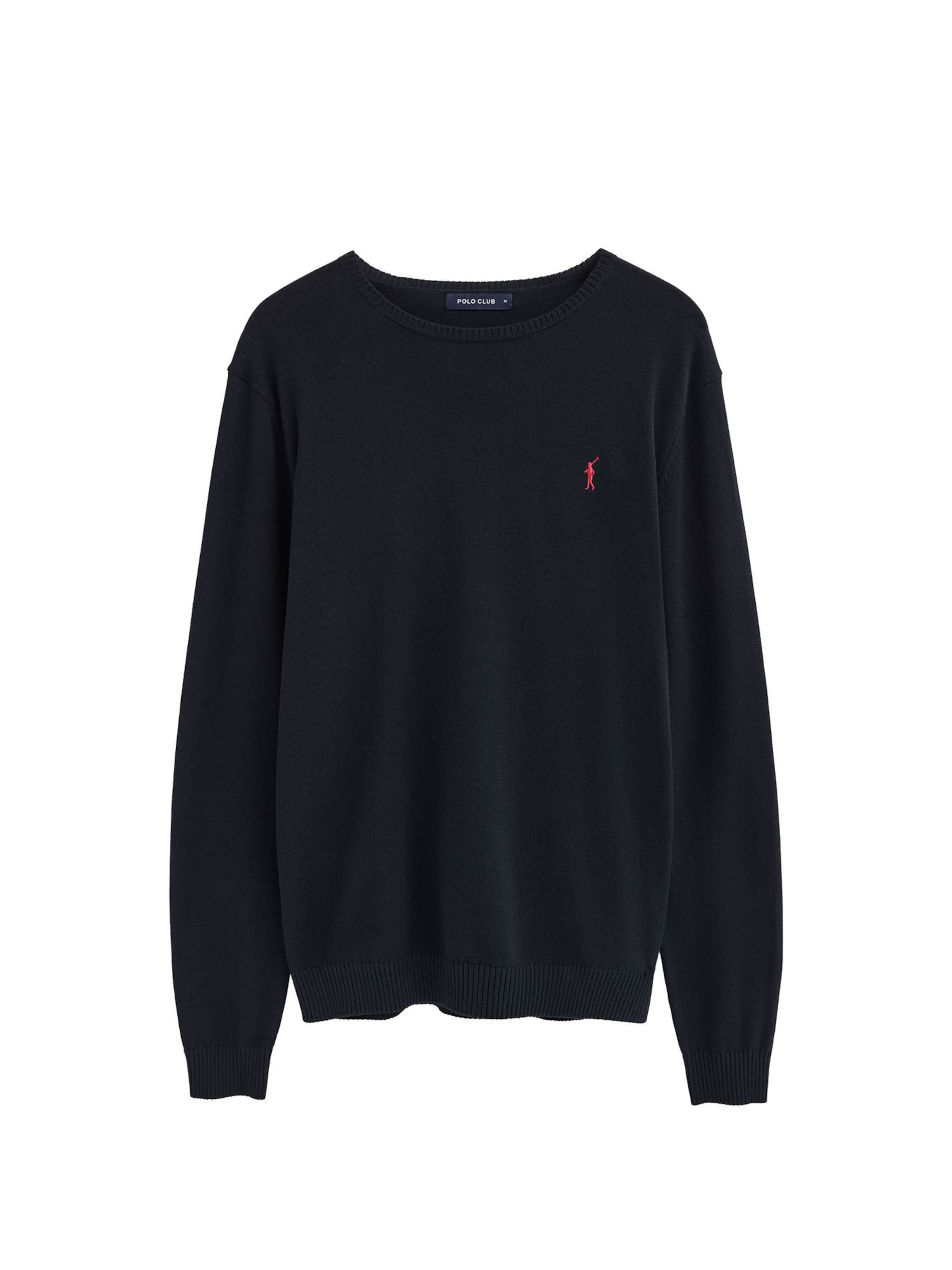 Polo Club Pullover in Blau