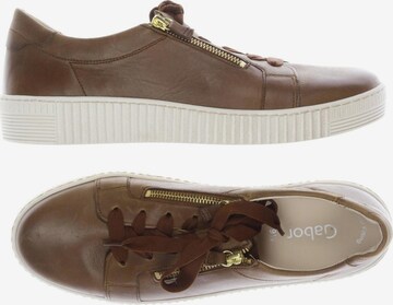 GABOR Halbschuh 43,5 in Braun: Vorderseite