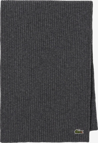 Écharpe LACOSTE en gris : devant