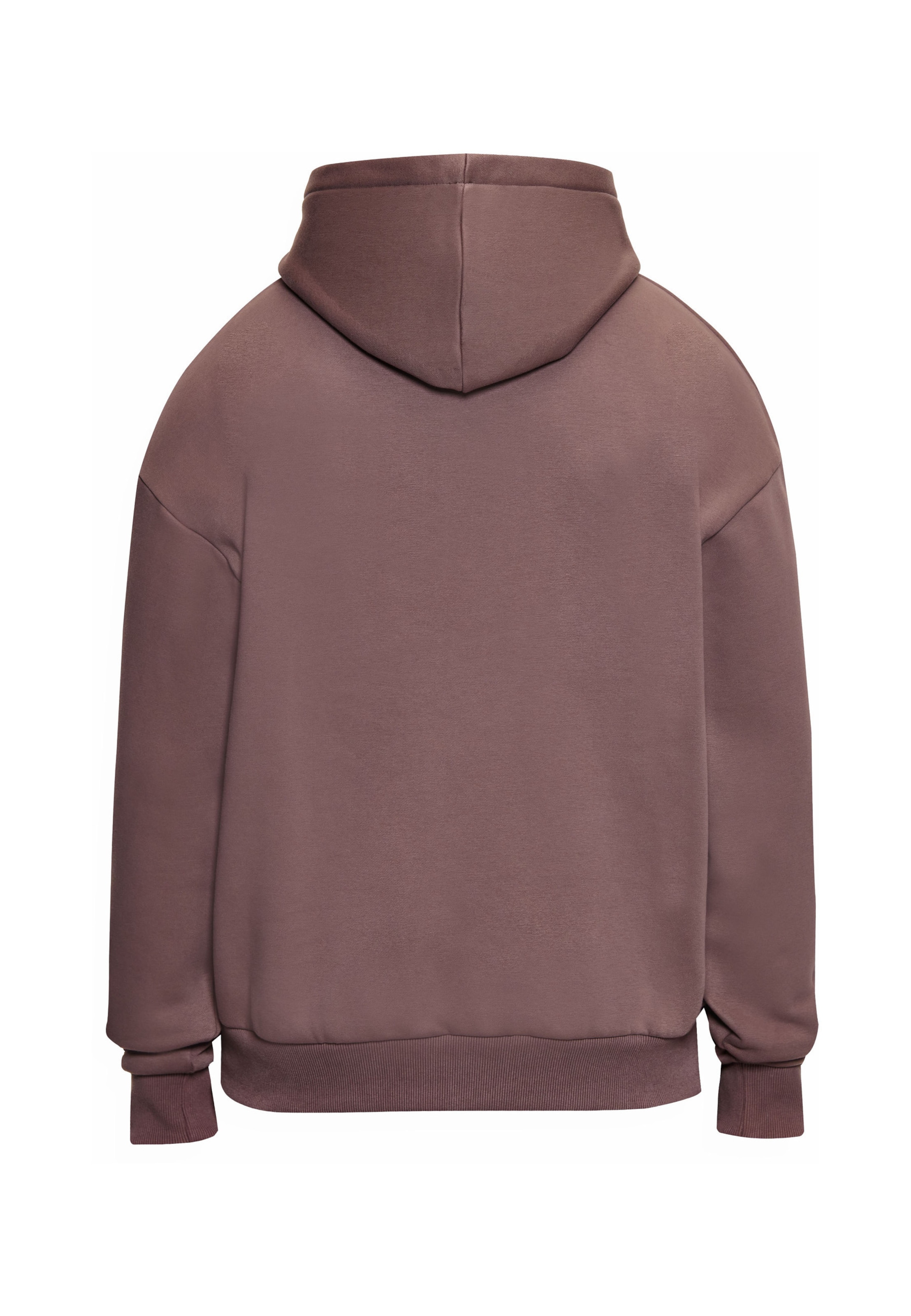 Dropsize - Sweatshirt em castanho