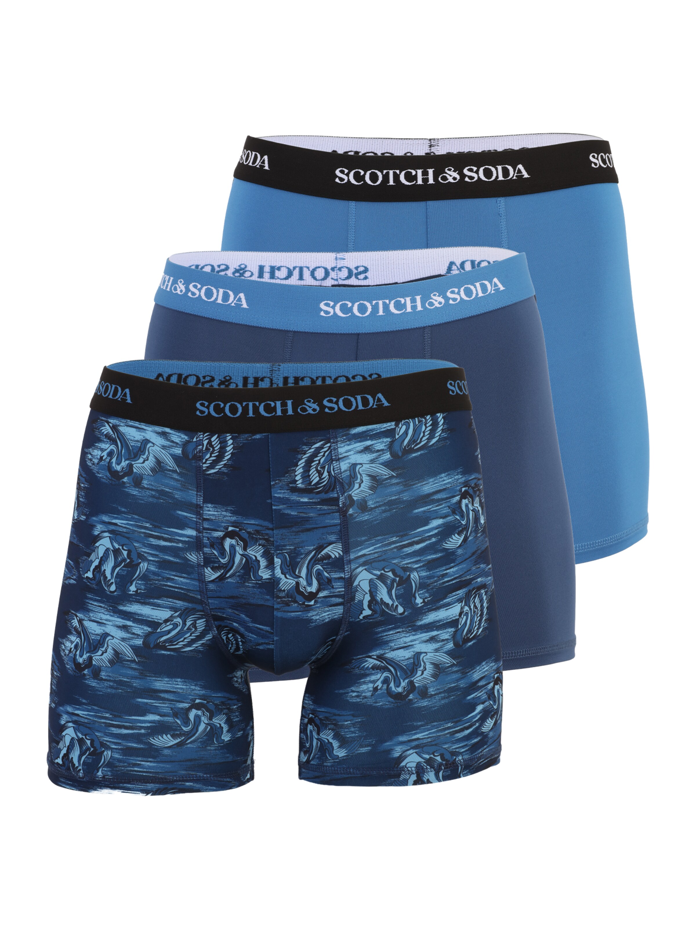 SCOTCH & SODA Boxershorts in Blau: Vorderseite