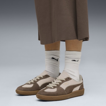 Baskets basses 'Palermo Wine Club' PUMA en marron