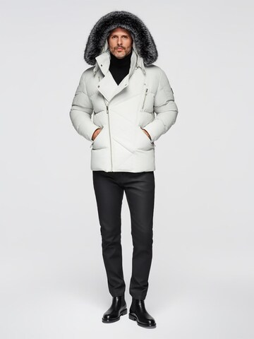 Ombre - Chaqueta de invierno en gris