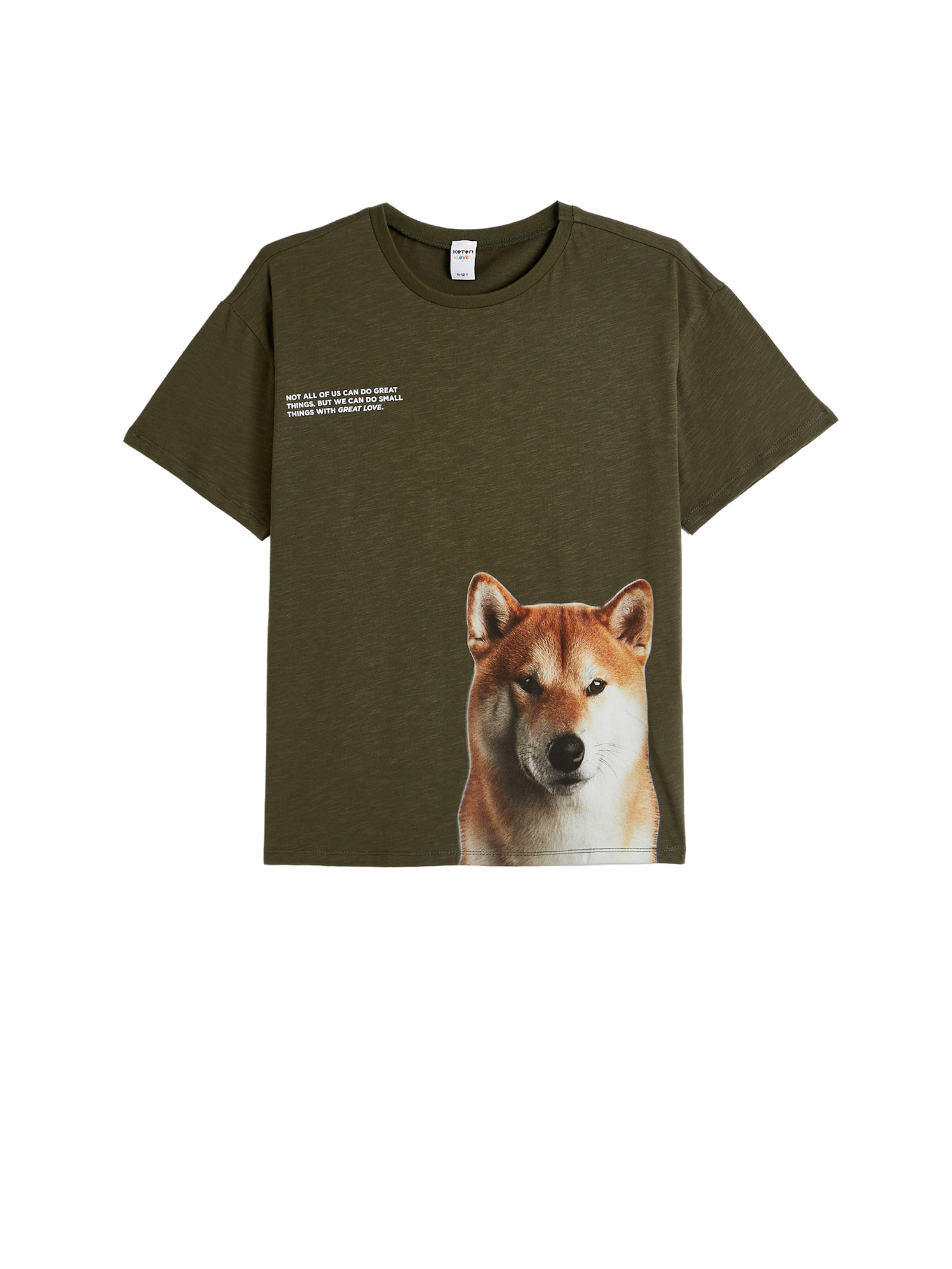 Koton Shirt in Groen: voorkant