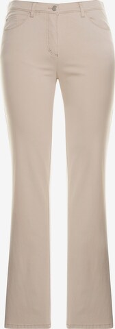 Ulla Popken Flared Hose in Beige: predná strana