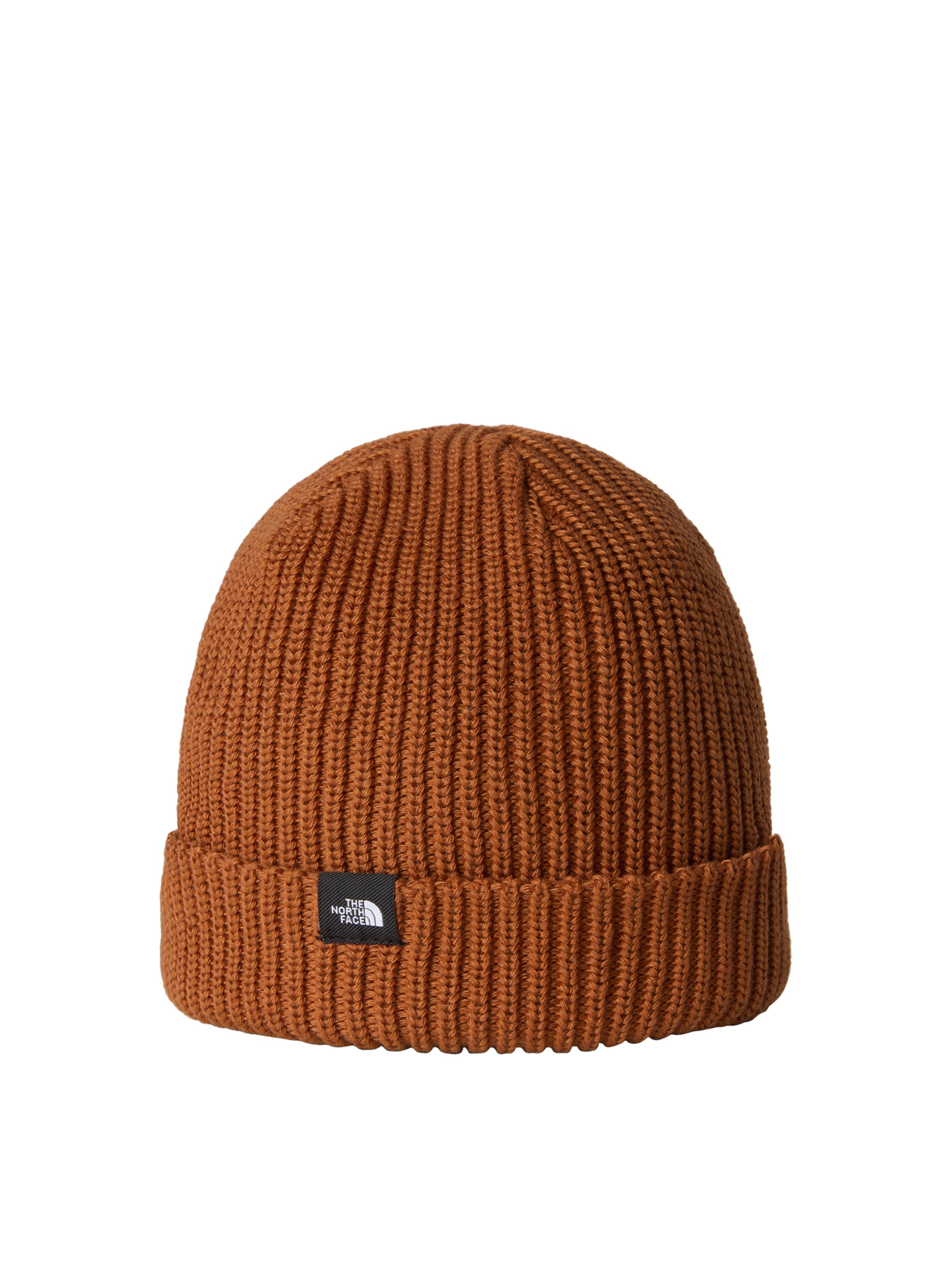 Berretto di THE NORTH FACE in marrone: frontale