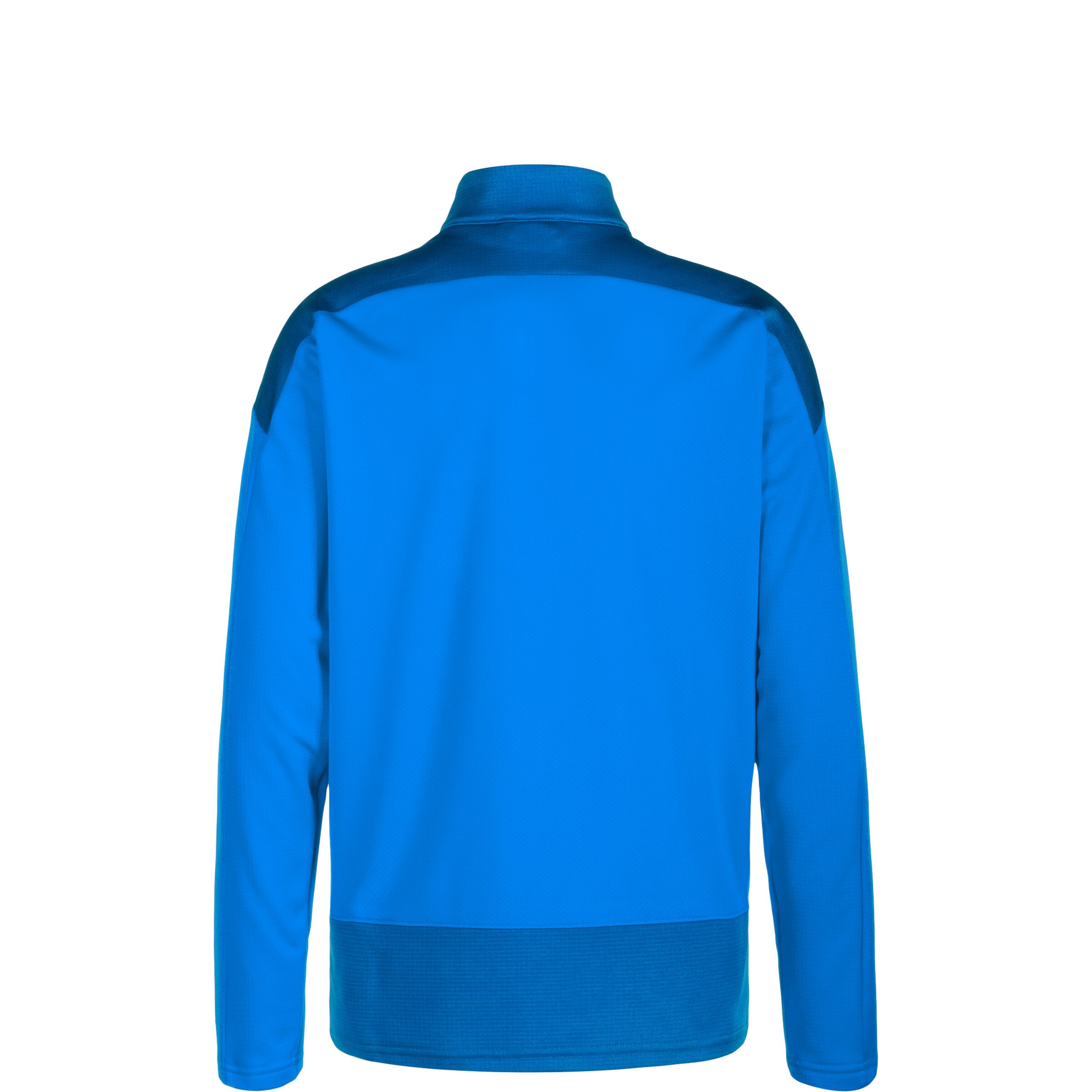 PUMA Bluza sportowa 'Team Goal 23' w kolorze niebieski