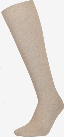 Chaussettes montantes Hudson en beige : devant