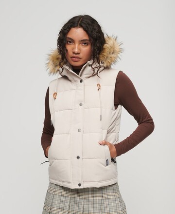 Gilet Superdry en beige : devant