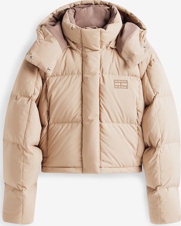 Tommy Jeans Зимняя куртка 'ALASKA' в Коричневый: спереди