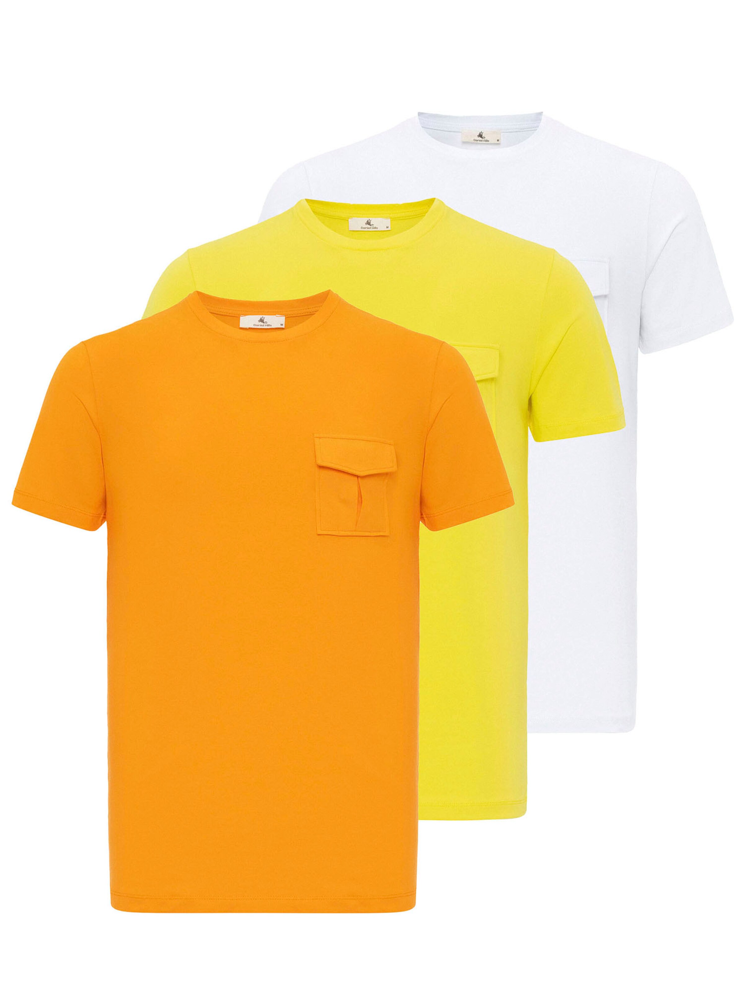 T-Shirt Daniel Hills en mélange de couleurs : devant