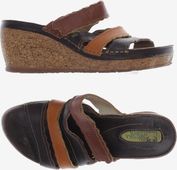 EL NATURALISTA Sandals & High-Heeled Sandals in 36 in Brown: front