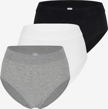 SPEIDEL Slip 'bio.cotton Plus' in Mischfarben: Vorderseite