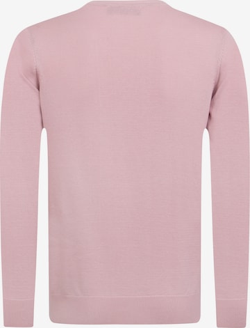 DENIM CULTURE Sweater 'Manno' in Pink