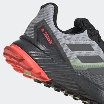 ADIDAS TERREX Laufschuh in Grau