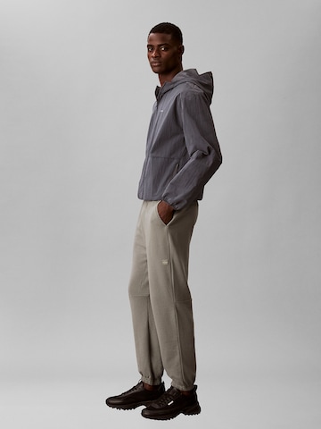 Calvin Klein Tapered Pants in Grey