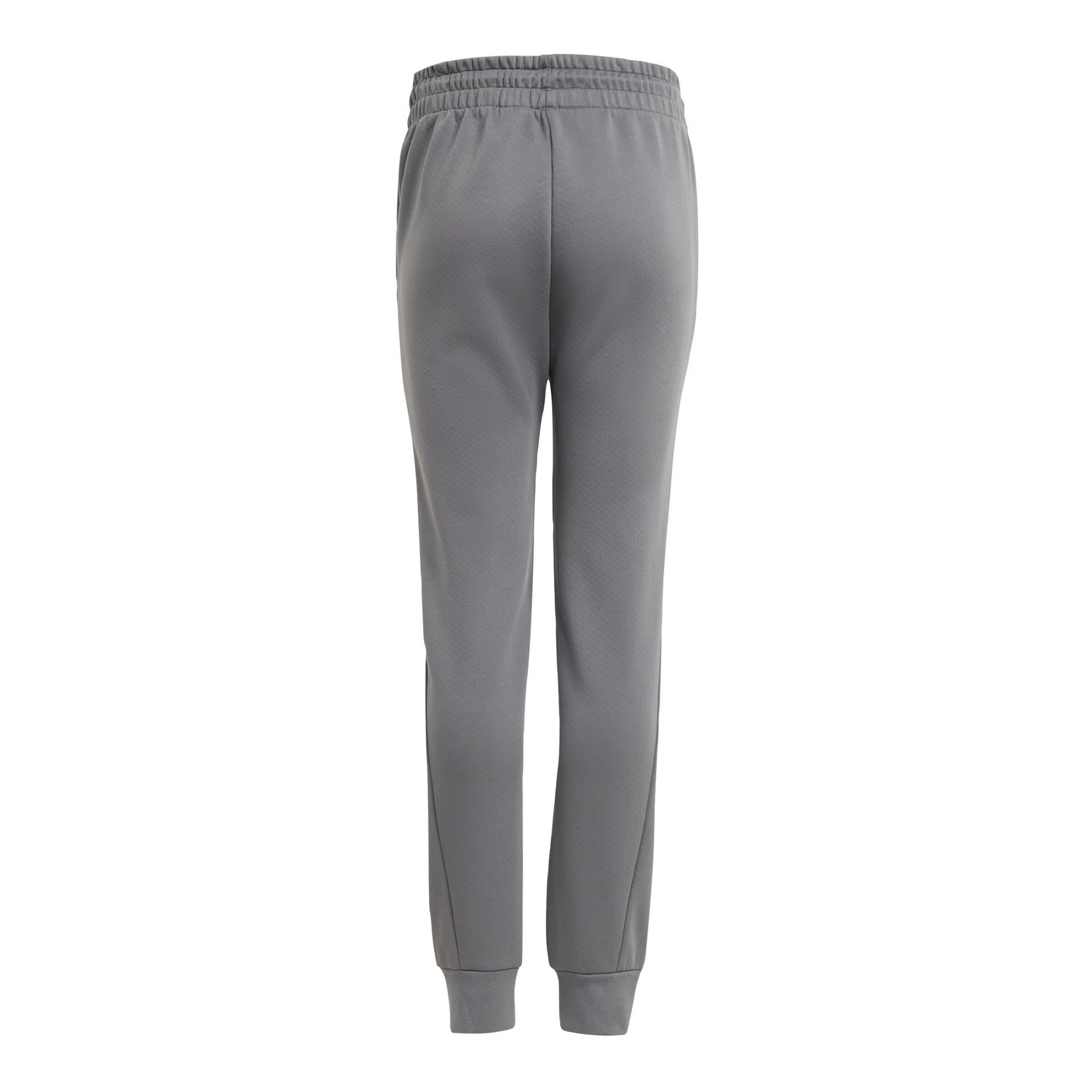ADIDAS PERFORMANCE - Tapered Pantalón deportivo 'Mercedes - AMG Petronas Formula One Team' en gris