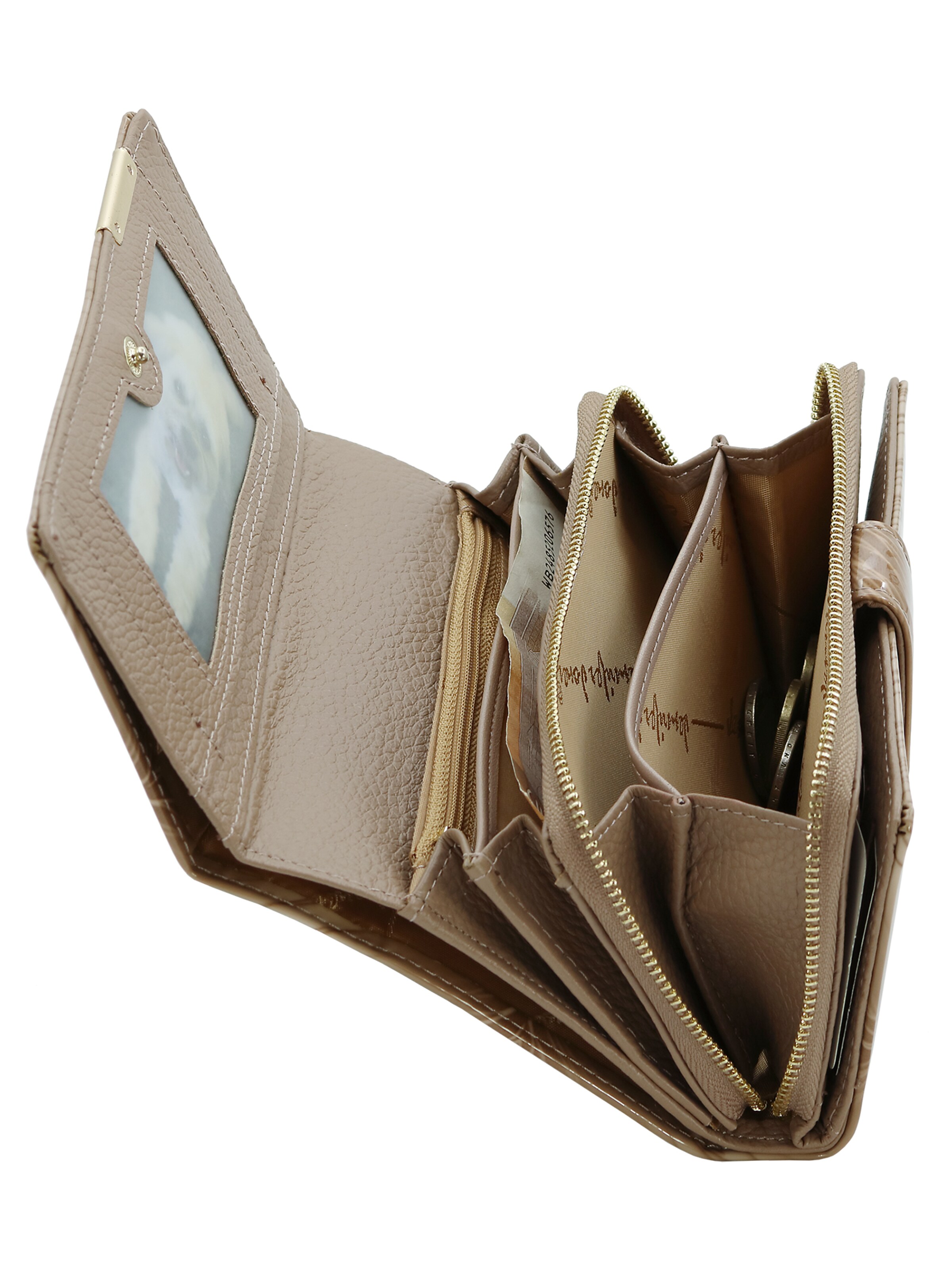 Jennifer Jones Wallet in Beige
