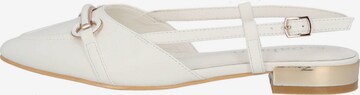 Palado Classic Flats 'Edef' in White