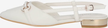 Palado Classic Flats 'Edef' in White