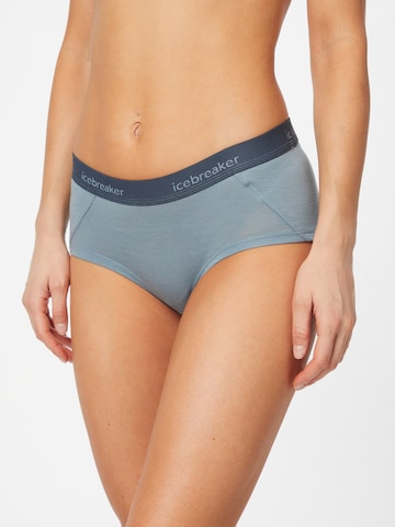 ICEBREAKER Sports underpants 'Sprite ' in Grey: front