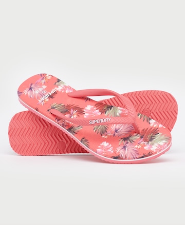 Tongs Superdry en rose