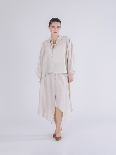 Camicia da donna in L CAFè NOIR di colore grigio chiaro, Visualizzazione prodotti
