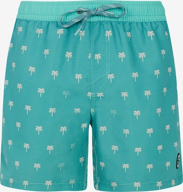 PROTEST Board Shorts 'PRTParco' in Green: front