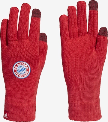 ADIDAS PERFORMANCE Athletic Gloves in Red: front