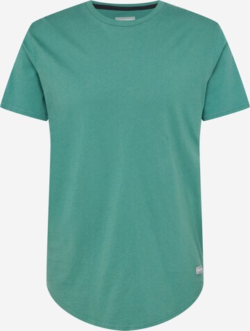 T-Shirt HOLLISTER en vert : devant