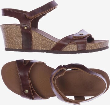 PANAMA JACK Sandals & High-Heeled Sandals in 41 in Brown: front