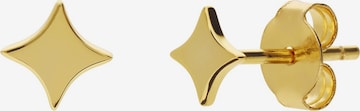 Boucles d'oreilles 'Stern' Lucardi en or : devant