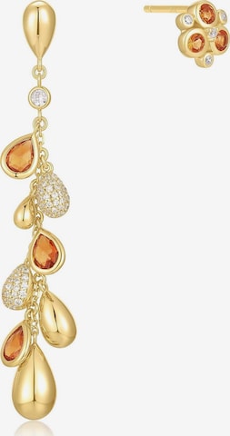 ANIA HAIE Ohrringe in Gold: Vorderseite