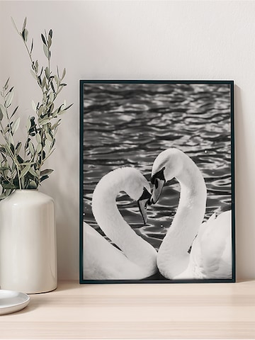 Liv Corday Bild  'Courting Whooper Swans' in Schwarz