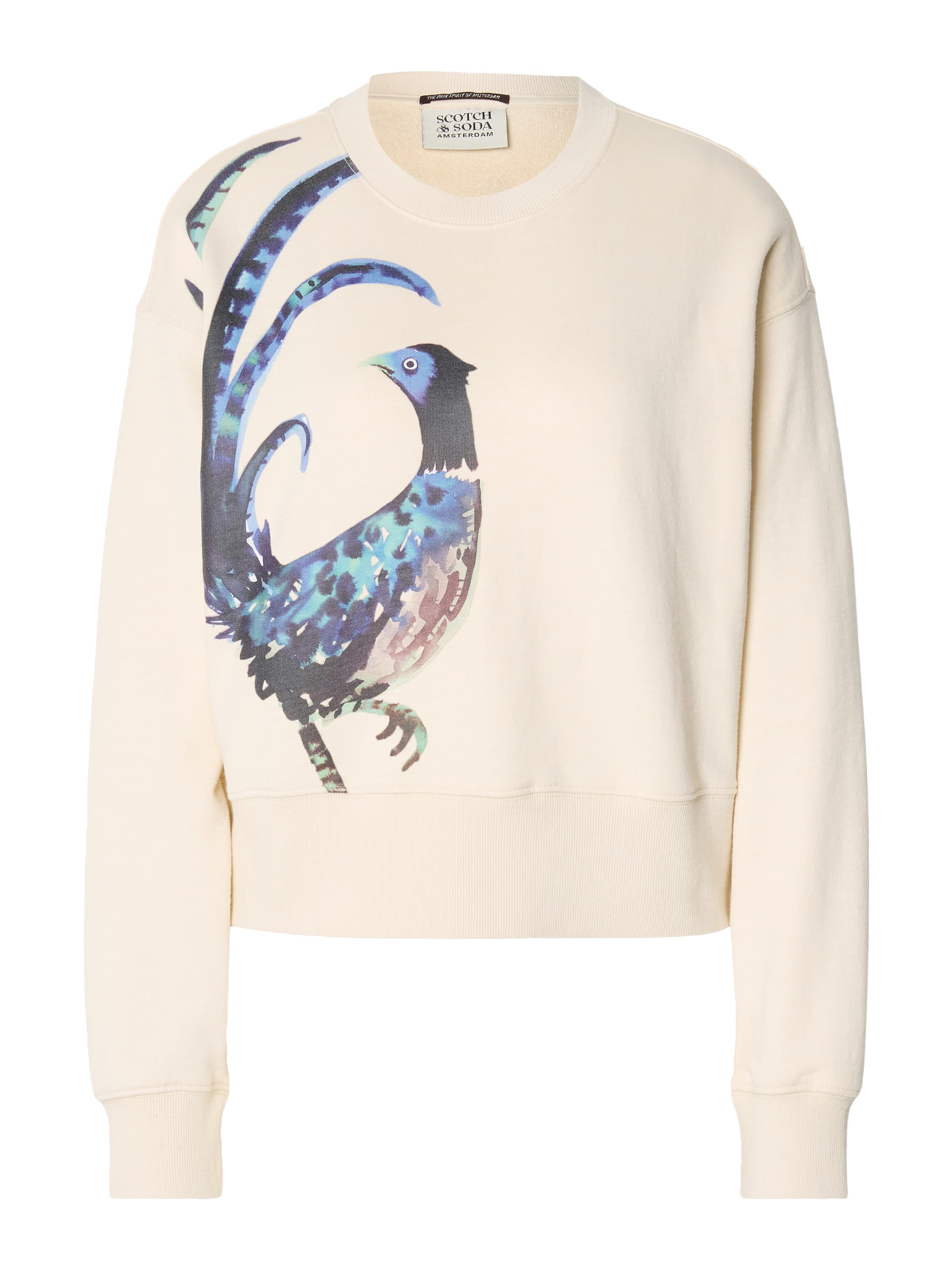 SCOTCH &amp; SODA Sweatshirt in Beige: voorkant