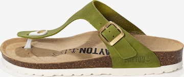 žalia Bayton Šlepetės per pirštą 'MERCURE': priekis