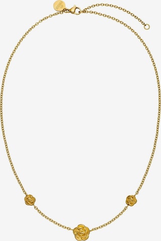 Chaîne 'Velvet Rose' PURELEI en or : devant
