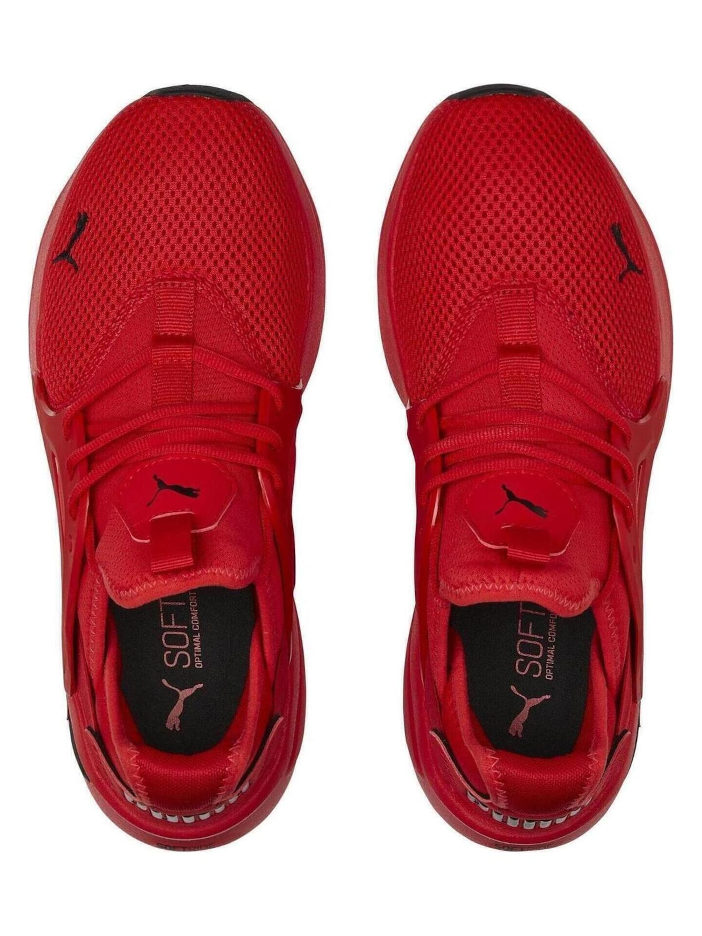 PUMA - Zapatillas deportivas bajas 'Puma Softride Enzo Evo High' en rojo