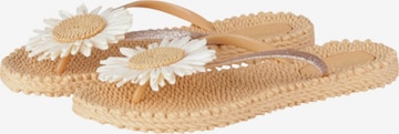ILSE JACOBSEN Sandals 'CHEERFUL16F' in Beige: front