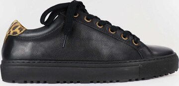 Scoob Retail Sneaker in Schwarz