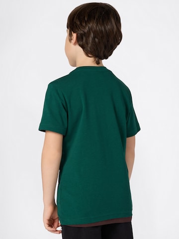 Champion Authentic Athletic Apparel Shirt in Groen