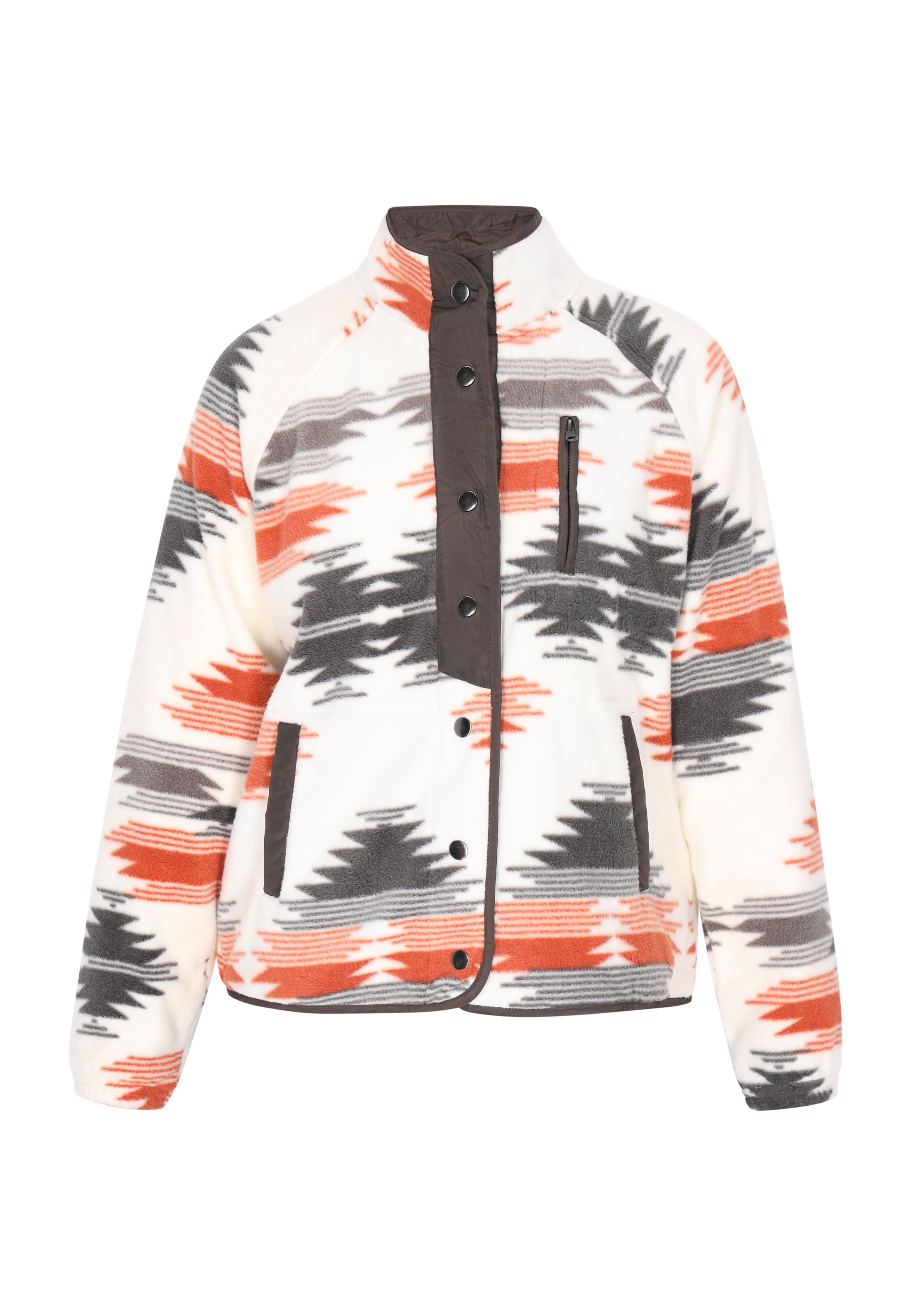 SANIKA Fleece Jacket in Mixed colors: front