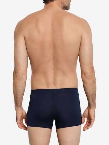 Hanro Boxershorts ' Cotton Essentials ' in Blauw