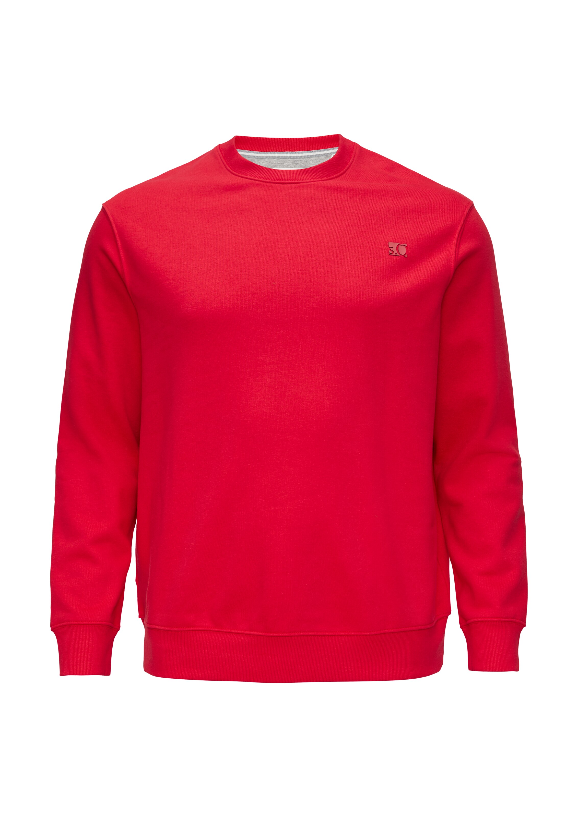 s.Oliver Men Big Sizes Sweatshirt in Red: front