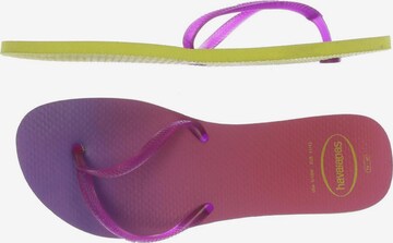 HAVAIANAS Sandals & High-Heeled Sandals in 40,5 in Purple: front